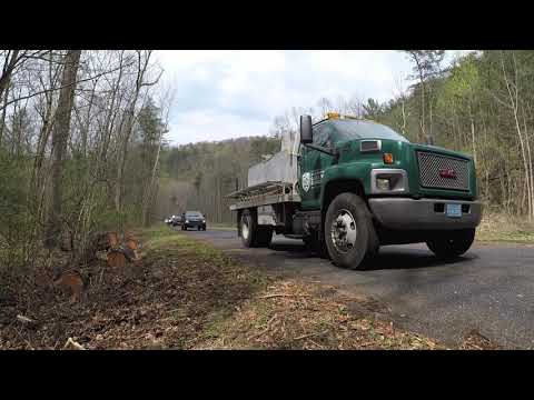 Trout Stocking Va