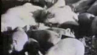 Sesame Street - Pigs!(full version)