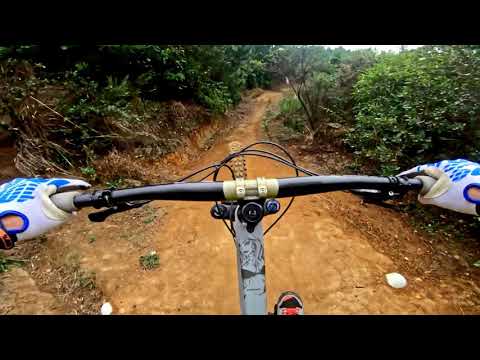 Easy Flows It @ Te Miro MTB Park