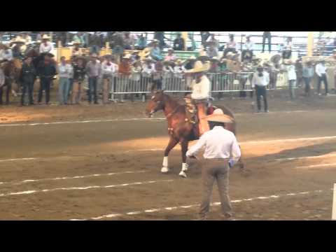 Lorenzo Ríos con caballo Campeón del Caladero