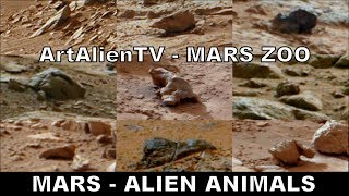 Mars Curiosity Alien Animals & Weird Creatures: Trailer: ArtAlienTV - 738p