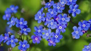 Francesca Battistelli - Beautiful, Beautiful (Lyrics)