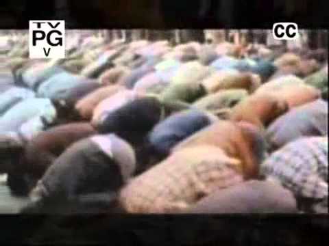 Shah Shah a Go Go - The Stranglers