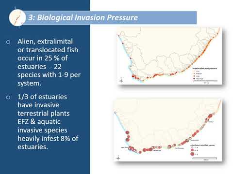 Key issues for SA estuaries from the NBA 2018 - Dr L van Niekerk