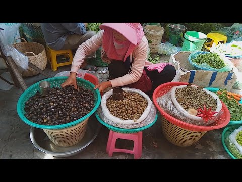 Asian Street Food - Natural Living In Cambodian Market - Fresh Food View In Phnom Penh Village Food