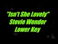 Isn't She Lovely by Stevie Wonder Lower Key Karaoke