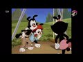 Animaniacs I M Cute Danish