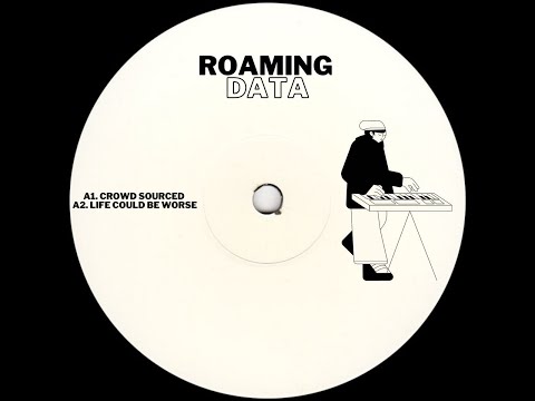 Roaming Data - Life Could Be Worse || Self-Released || 2023