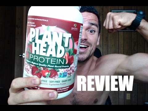 download lagu mp3 mp4 Plant Head Real Meal Weight Loss, download lagu Plant Head Real Meal Weight Loss gratis, unduh video klip Plant Head Real Meal Weight Loss