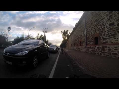 Two Cockheads and a Duck Protector