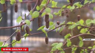 Mylistory уверенно занял свою нишу в линейке социальных сетей 