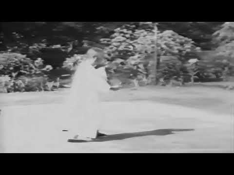 Cheng Man Ching taijiquan 1960s Taiwan