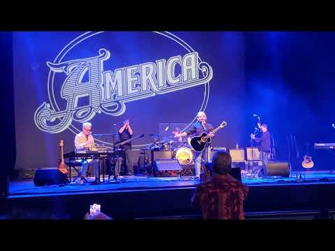America - Daisy Jane - Louisville KY - 8/1/2023