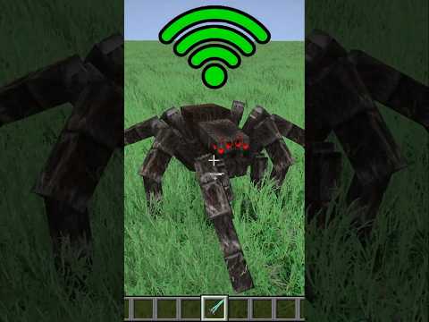 spider with different Wi-Fi