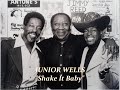 ■ JUNIOR WELLS 1966 - "Shake It Baby"