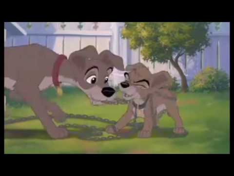 Flutterhontas Part 4 Flutterhontas and Applejack/Kococm's Hand in Marriage