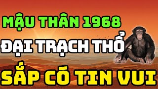 Tuổi Mậu Thân 1968 Là Người Có Phúc Có Phần, Về Già Hưởng Lộc Tổ Tiên Nếu Biết Sớm 8 Điều Này