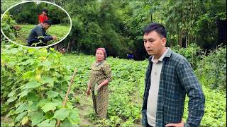 Download lagu Hang was very upset when his mother compared his earning potential to that of others. mp3