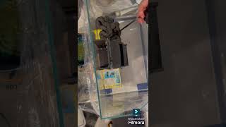 滝の流れるアクアリウムを作成中！#アクアリウム初心者