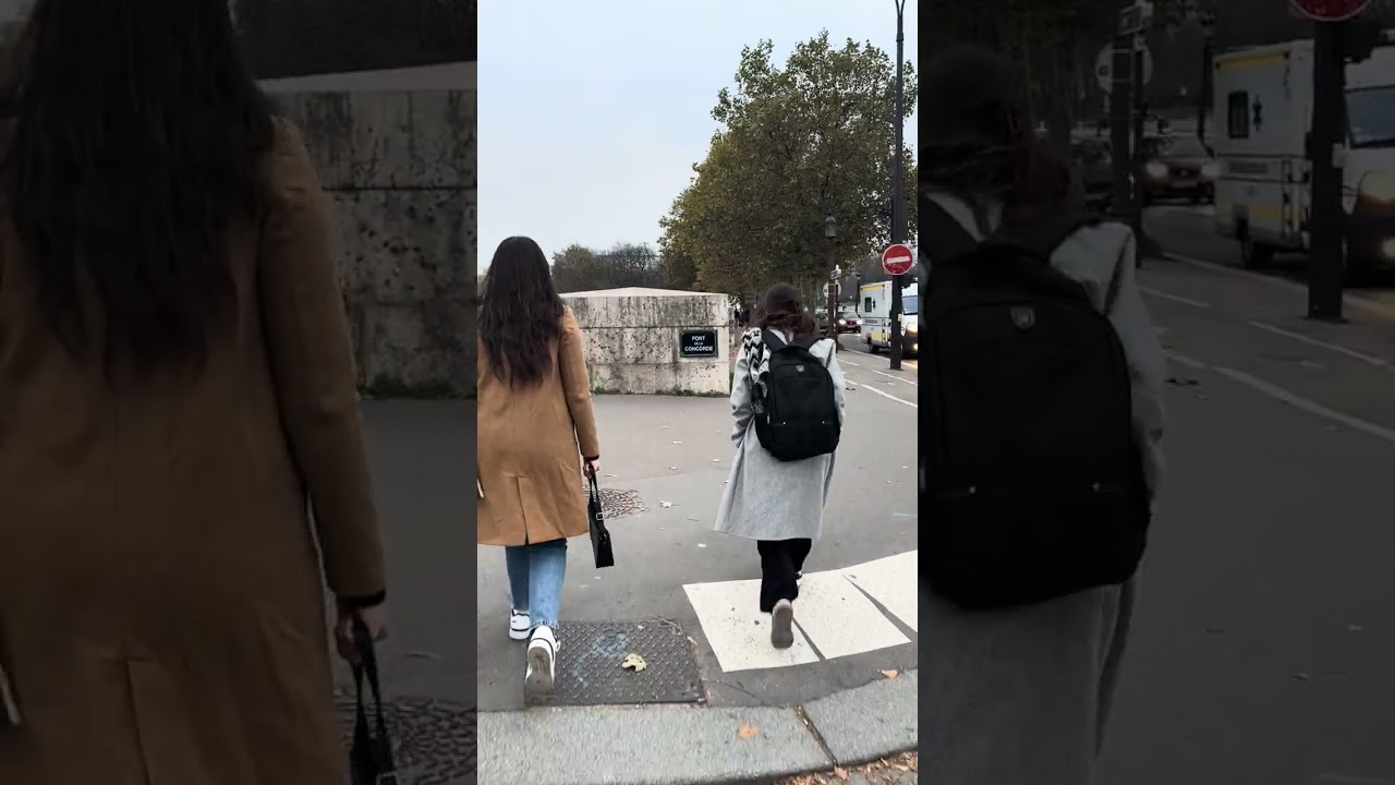 הולכים ברגל ממוזיאון הלובר למגדל אייפל