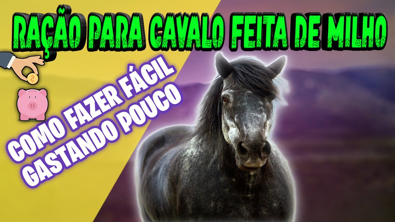 Como fazer ração para CAVALO com Milho/Ração de cavalo barata/Ração para equino