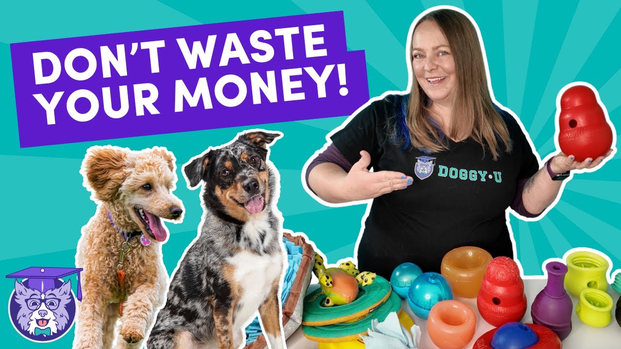 Puppy Essentials - The Toys You Actually NEED!