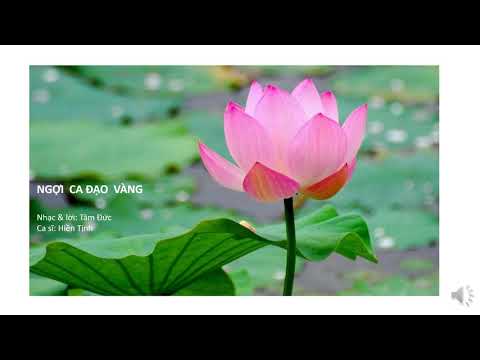 Ngợi ca đạo vàng Sheet - Hiền Tịnh