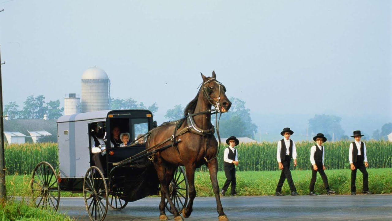Comunidade Nos USA Sem Electricidade