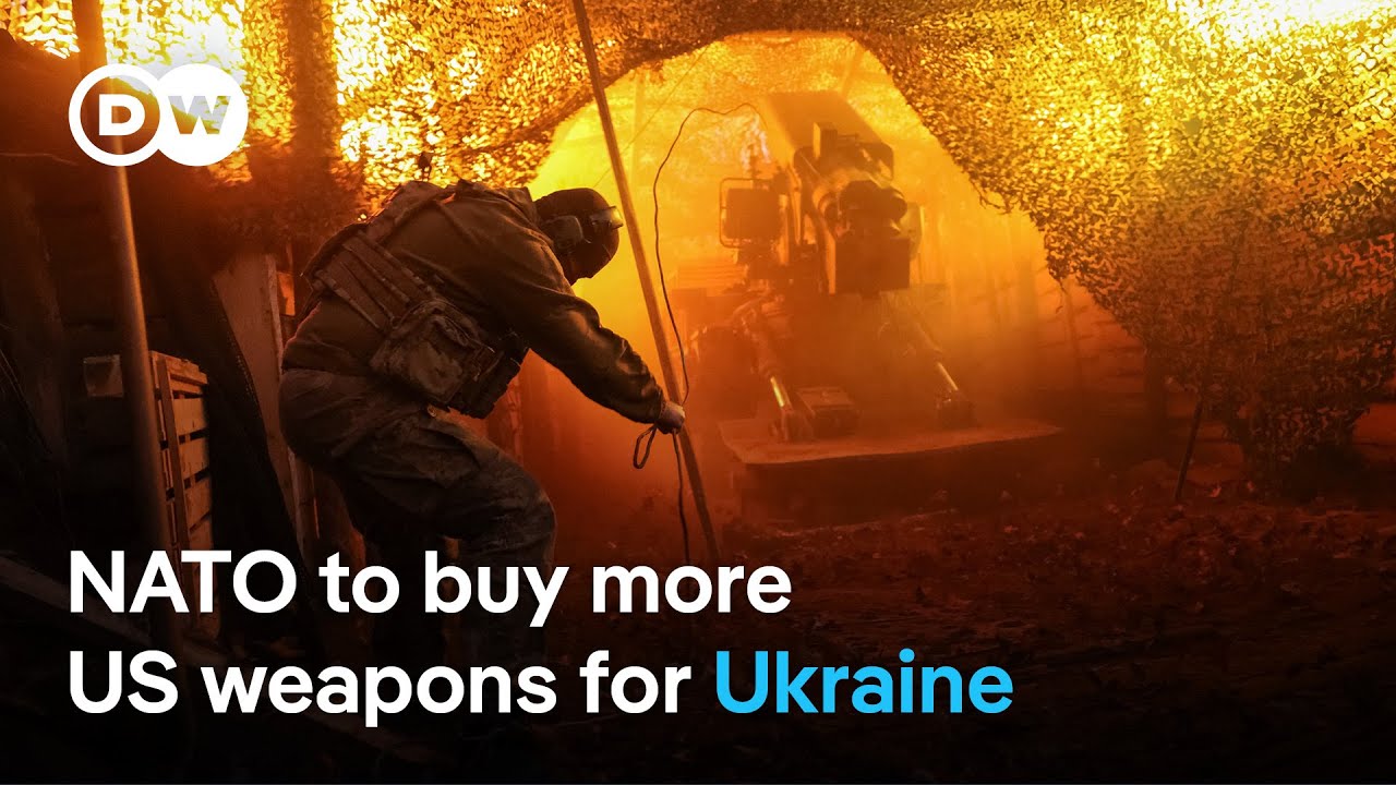 Using frozen Russian assets to fund Ukraine "the only viable option",  says Dutch FM | DW News