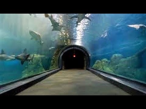 image-How much is the Adventure Aquarium discount in Philadelphia?