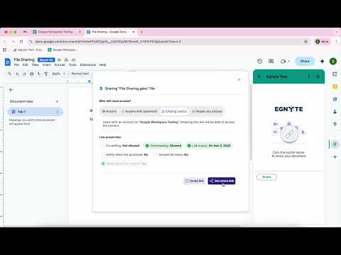 Egnyte - File Sharing - Google Workspace