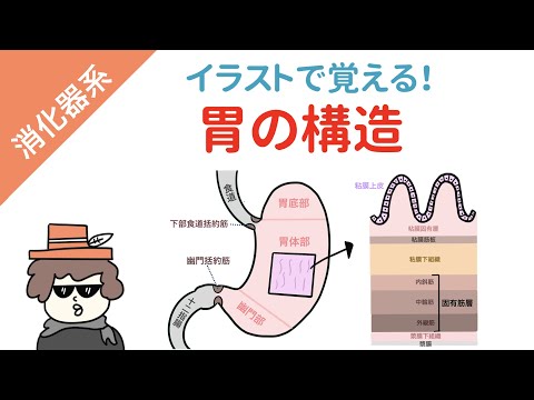 生理学的溶液について詳しく解説