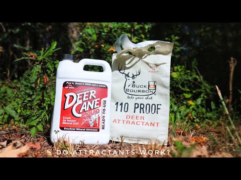 Trail Camera: Do Deer Attractants Really Work? Buck Bourbon and Deer Cane.