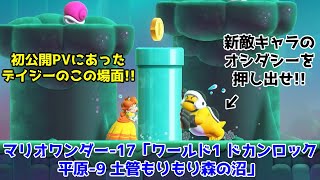 スーパーマリオブラザーズ ワンダー-17「ワールド1 ドカンロック平原-9 土管もりもり森の沼」