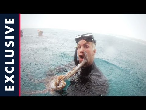 Diving and Spearfishing in Indo | Who is JOB 2.0: S1E14