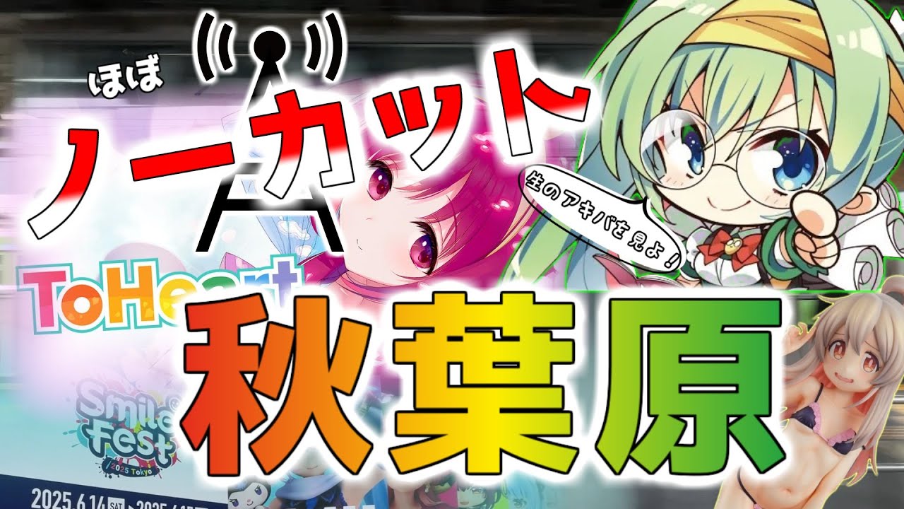 【疑似ライブ】 ほぼノーカットで秋葉原を巡る！ 【散策】　A stroll through Akihabara for an otaku with 17 years of experience.