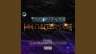 Boosie Music Video
