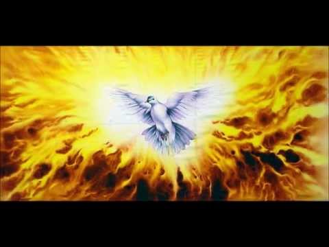 Ruah video