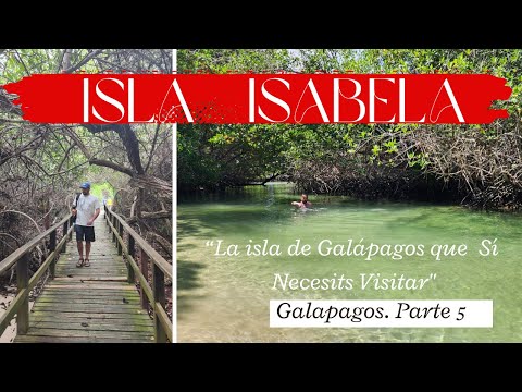 Isla Isabela: ATRACTIVO único y Natural de Galápagos