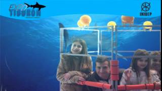 DIA 2 Expo Tiburon320