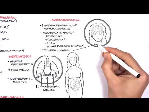 Physiological Changes During Pregnancy#MedicoLover | MCI, FMGE , USMLE