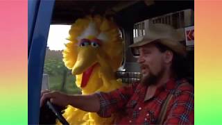 Muppet Songs: Waylon Jennings and Big Bird - Ain&#39;t No Road Too Long