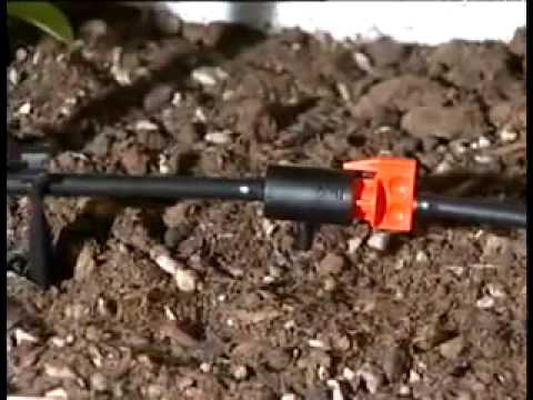 Non cura legale di alcolismo Come fare questo il marito rapidamente ha smesso di bere