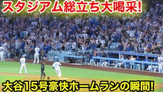 スタジアム総立ち大喝采！大谷15号豪快ホームランの瞬間！現地映像
