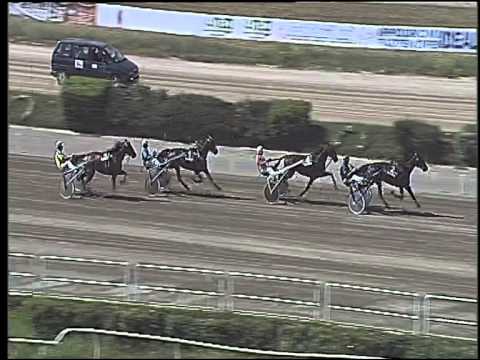 Trotto 11/06/2015 - 2° corsa