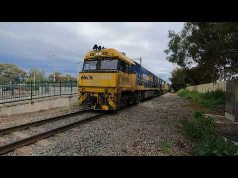 Great Loud Pacific National Freight Train Descends on Parafield! with Odgee