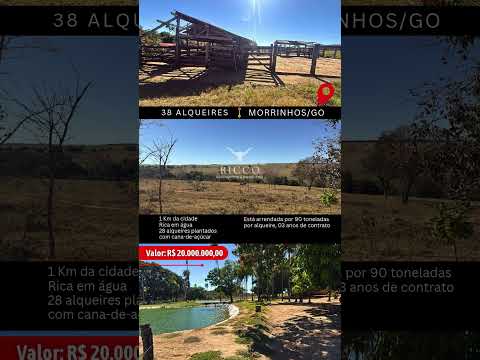 Fazenda em Morrinhos Goiás / whatsapp 62 99373-6407