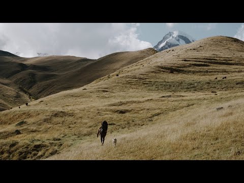 Trekking Mount Kazbegi with baby carrier and dog