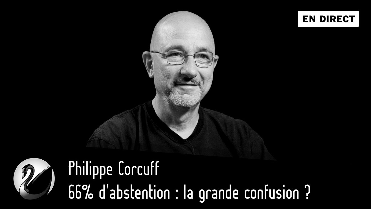 66% d'abstention : la grande confusion ? Philippe Corcuff