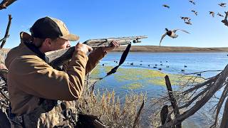 The CRAZIEST DUCK BLIND I've Ever Built | DUCK HUNTING 2026